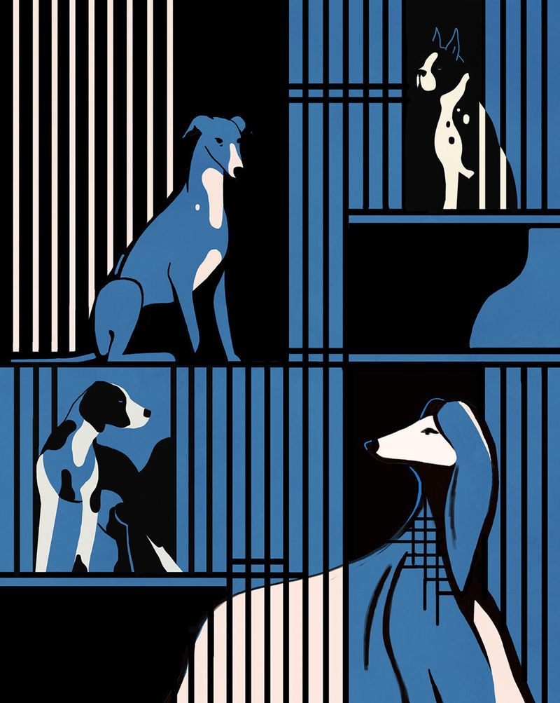 Illustration showcasing this artists portfolio