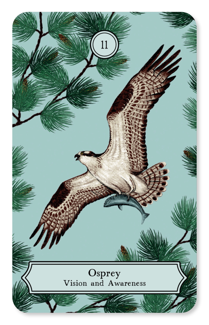 Illustration showcasing this artists portfolio