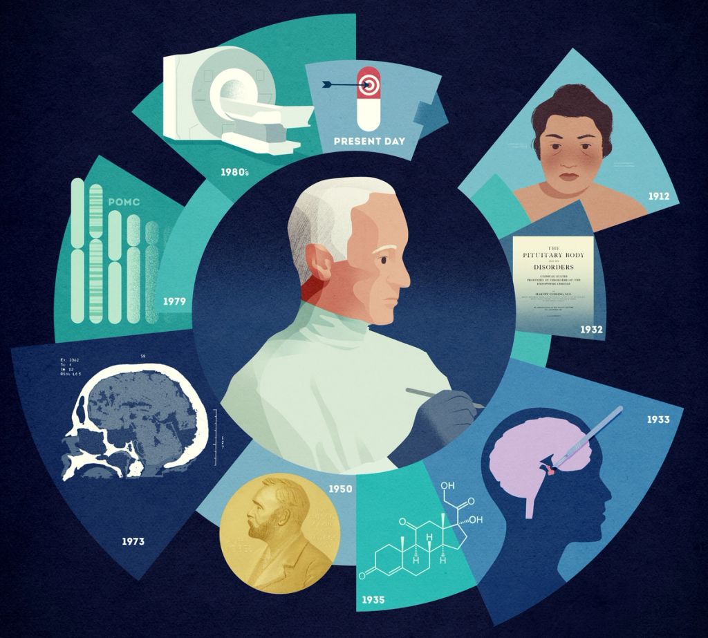 Illustration showcasing this artists portfolio