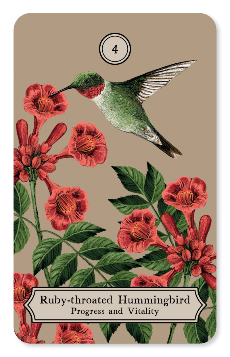 Illustration showcasing this artists portfolio