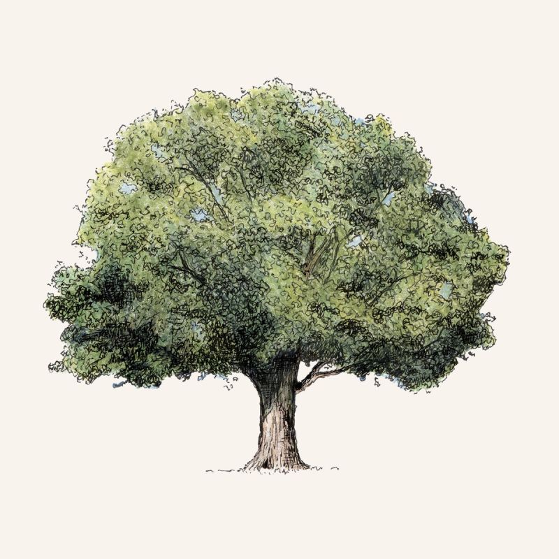 Illustration showcasing this artists portfolio