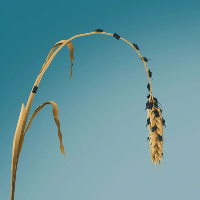 Illustration showcasing this artists portfolio