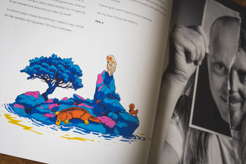 Illustration showcasing this artists portfolio