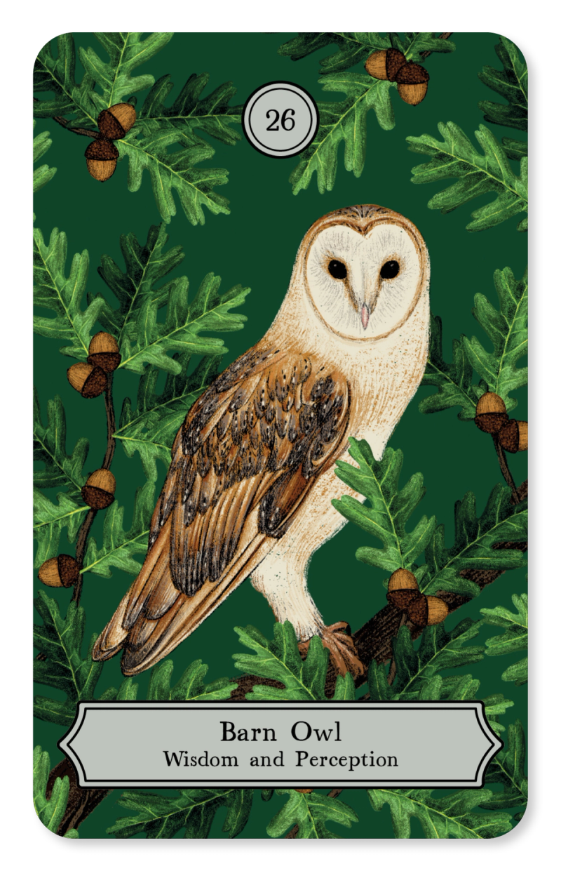 Illustration showcasing this artists portfolio