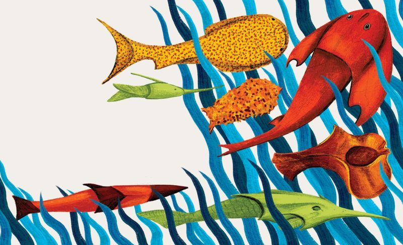 Illustration showcasing this artists portfolio