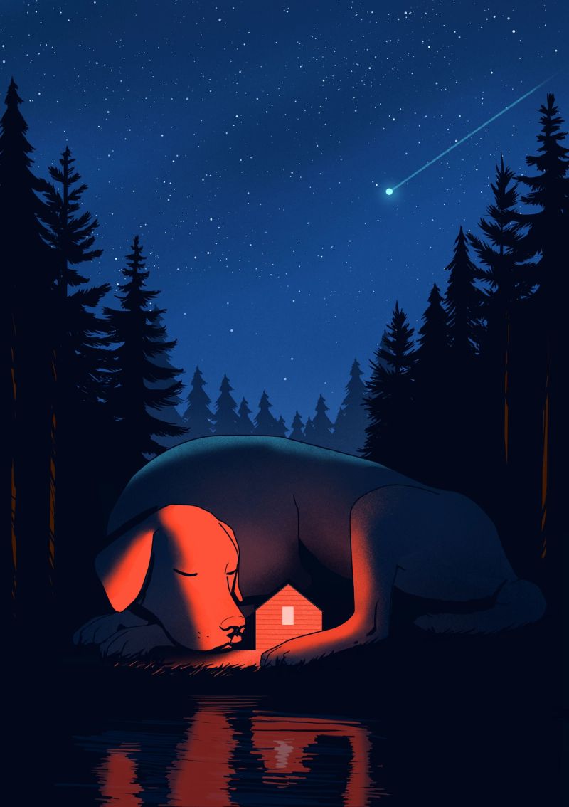 Illustration showcasing this artists portfolio