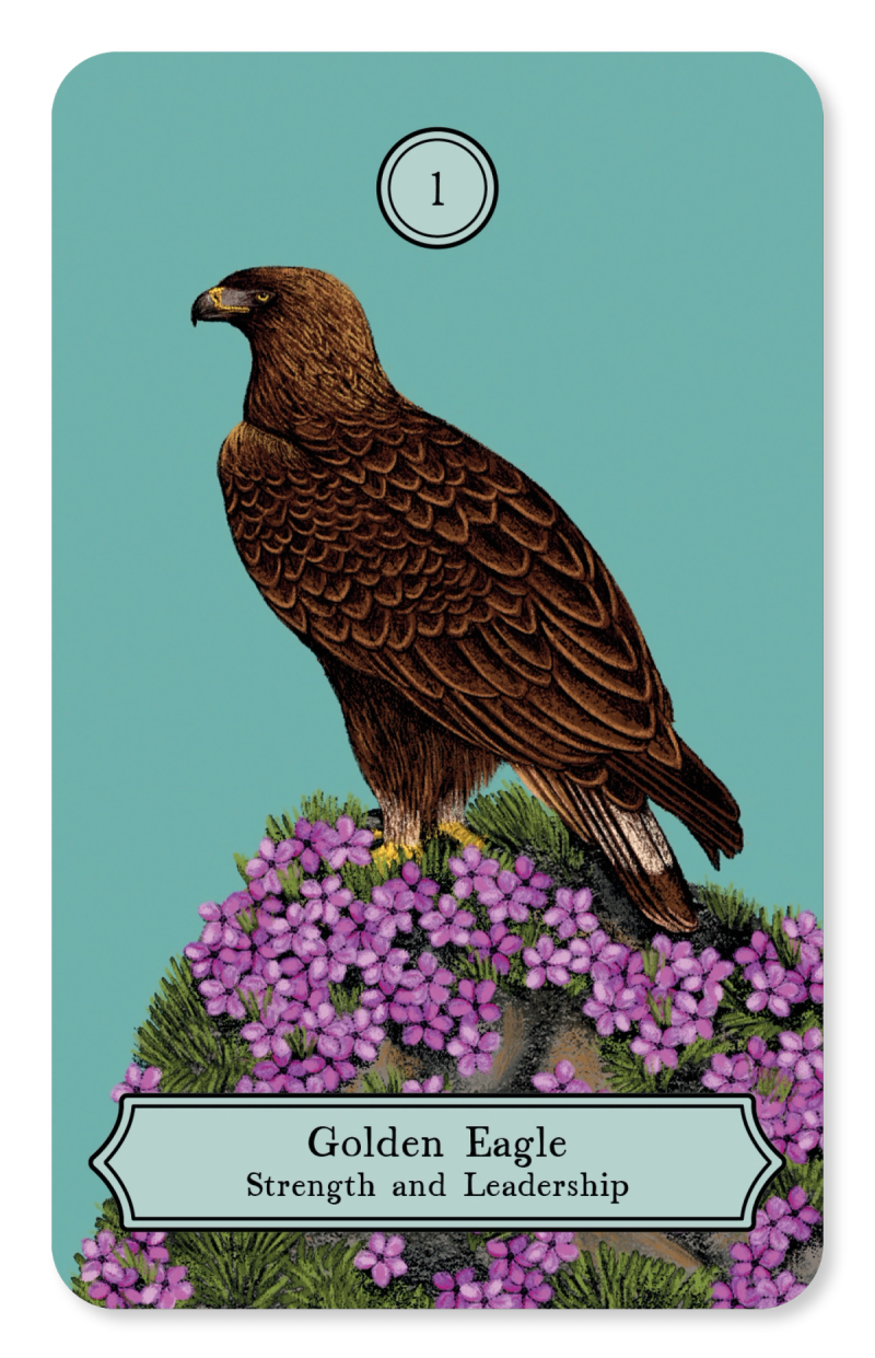 Illustration showcasing this artists portfolio