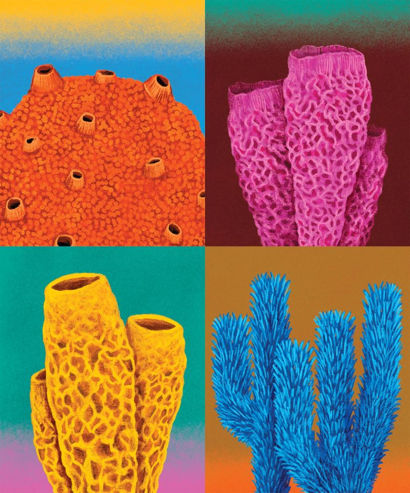 Illustration showcasing this artists portfolio