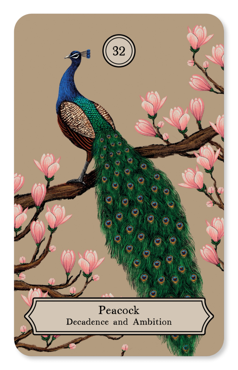 Illustration showcasing this artists portfolio