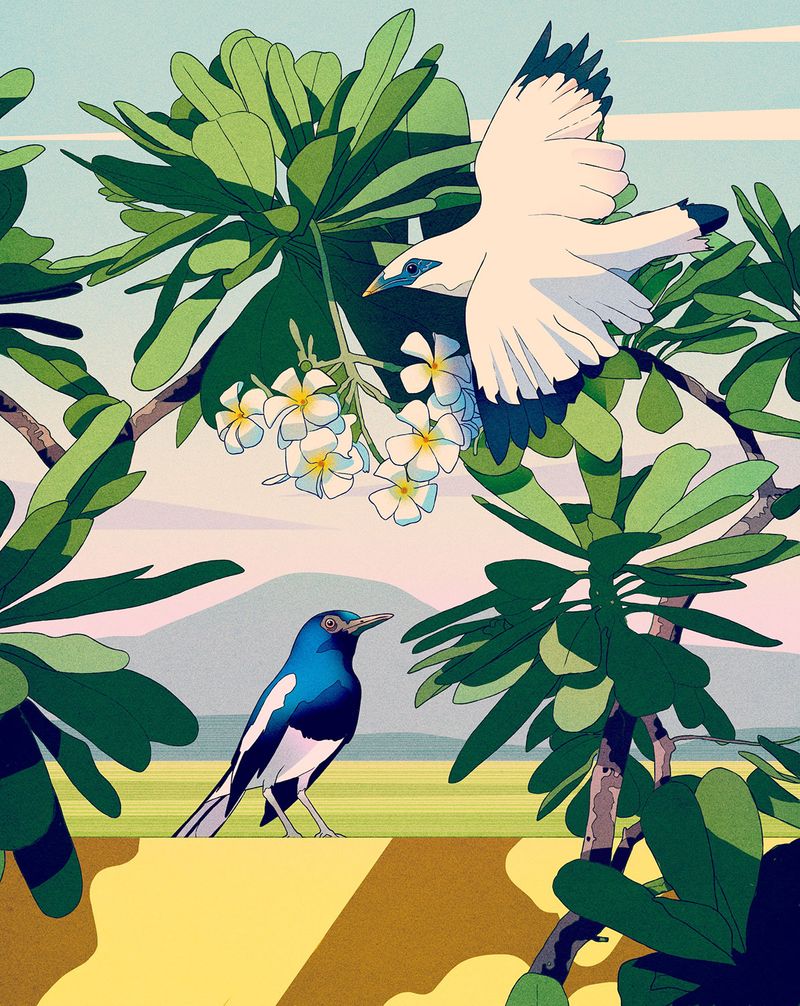 Illustration showcasing this artists portfolio