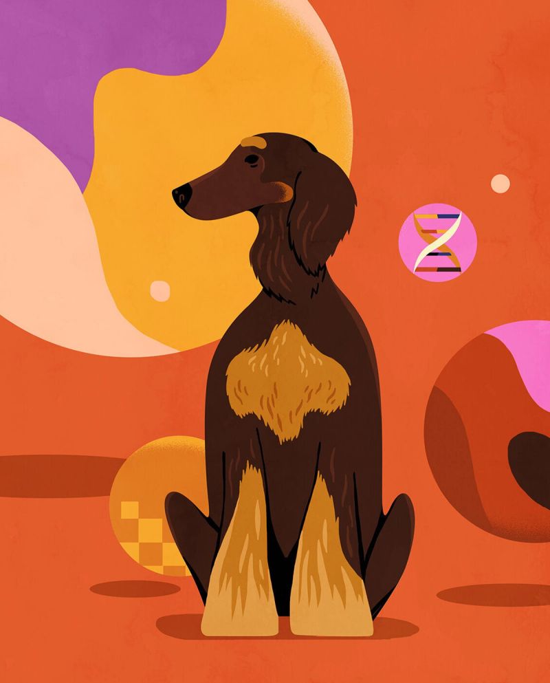Illustration showcasing this artists portfolio