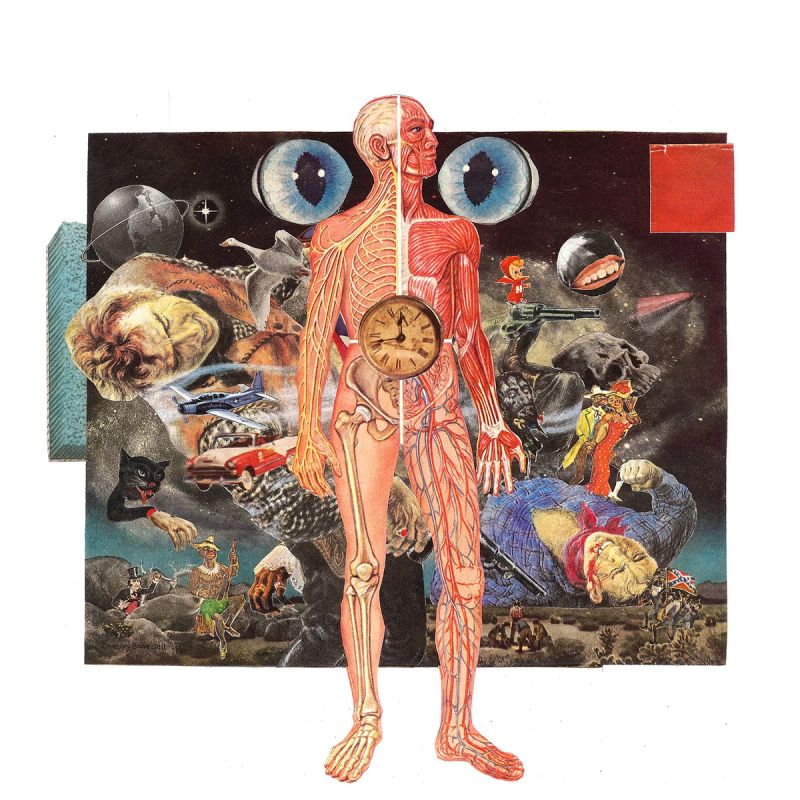 Illustration showcasing this artists portfolio