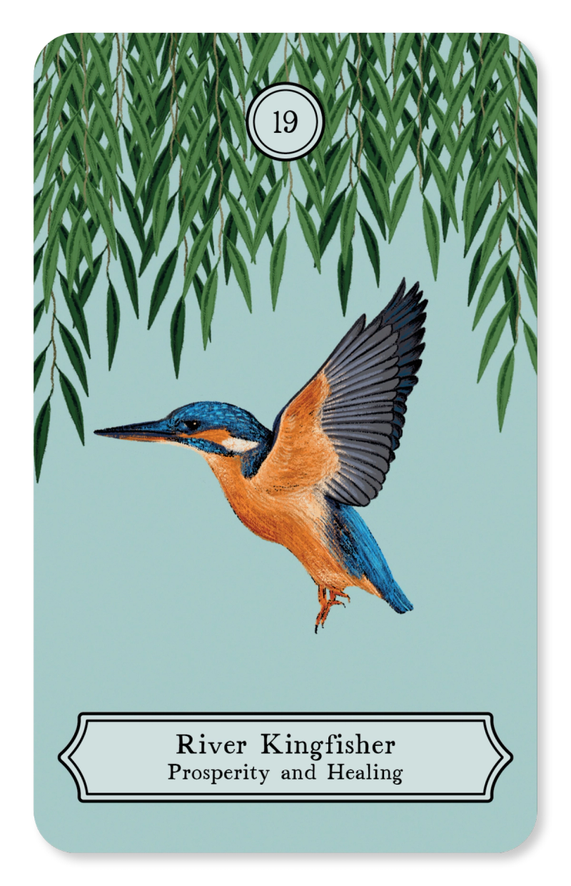 Illustration showcasing this artists portfolio