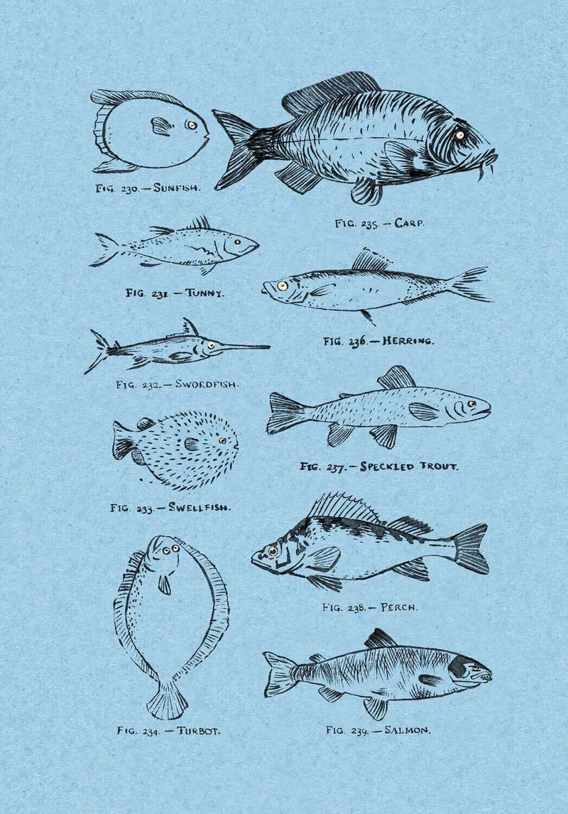 Illustration showcasing this artists portfolio