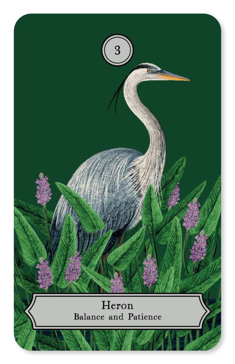 Illustration showcasing this artists portfolio