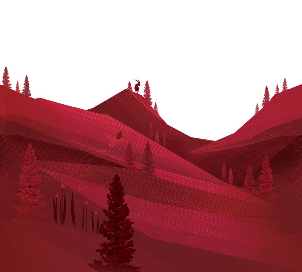 Illustration showcasing this artists portfolio
