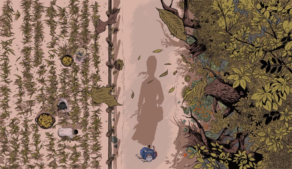 Illustration showcasing this artists portfolio
