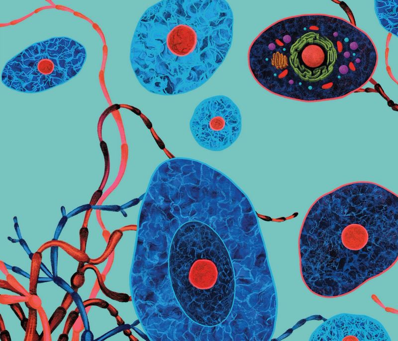 Illustration showcasing this artists portfolio