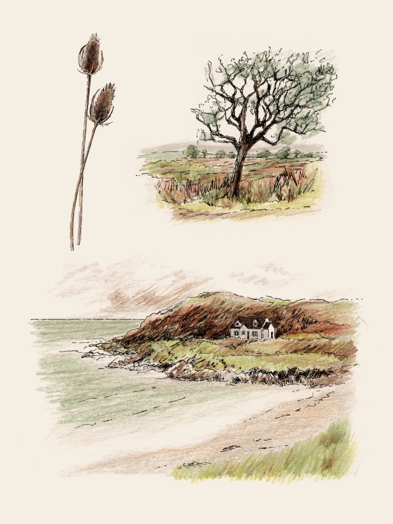Illustration showcasing this artists portfolio
