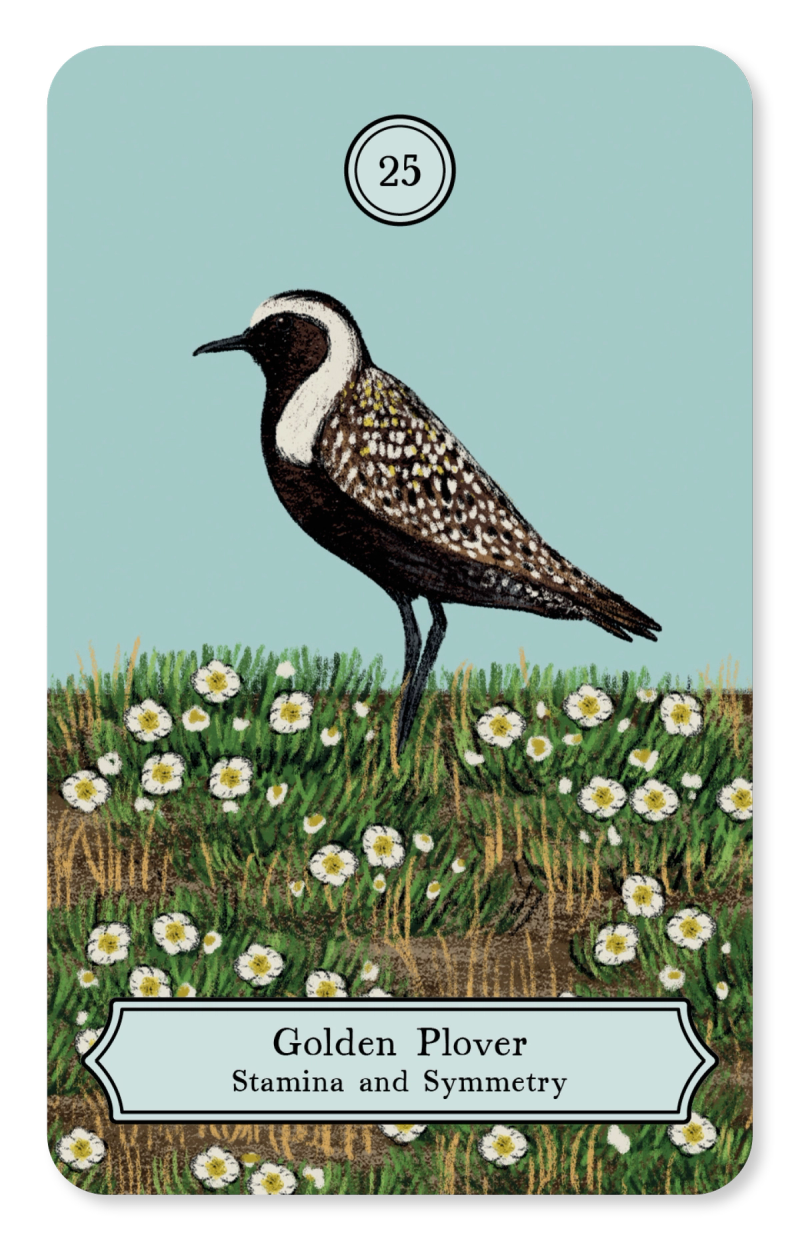 Illustration showcasing this artists portfolio