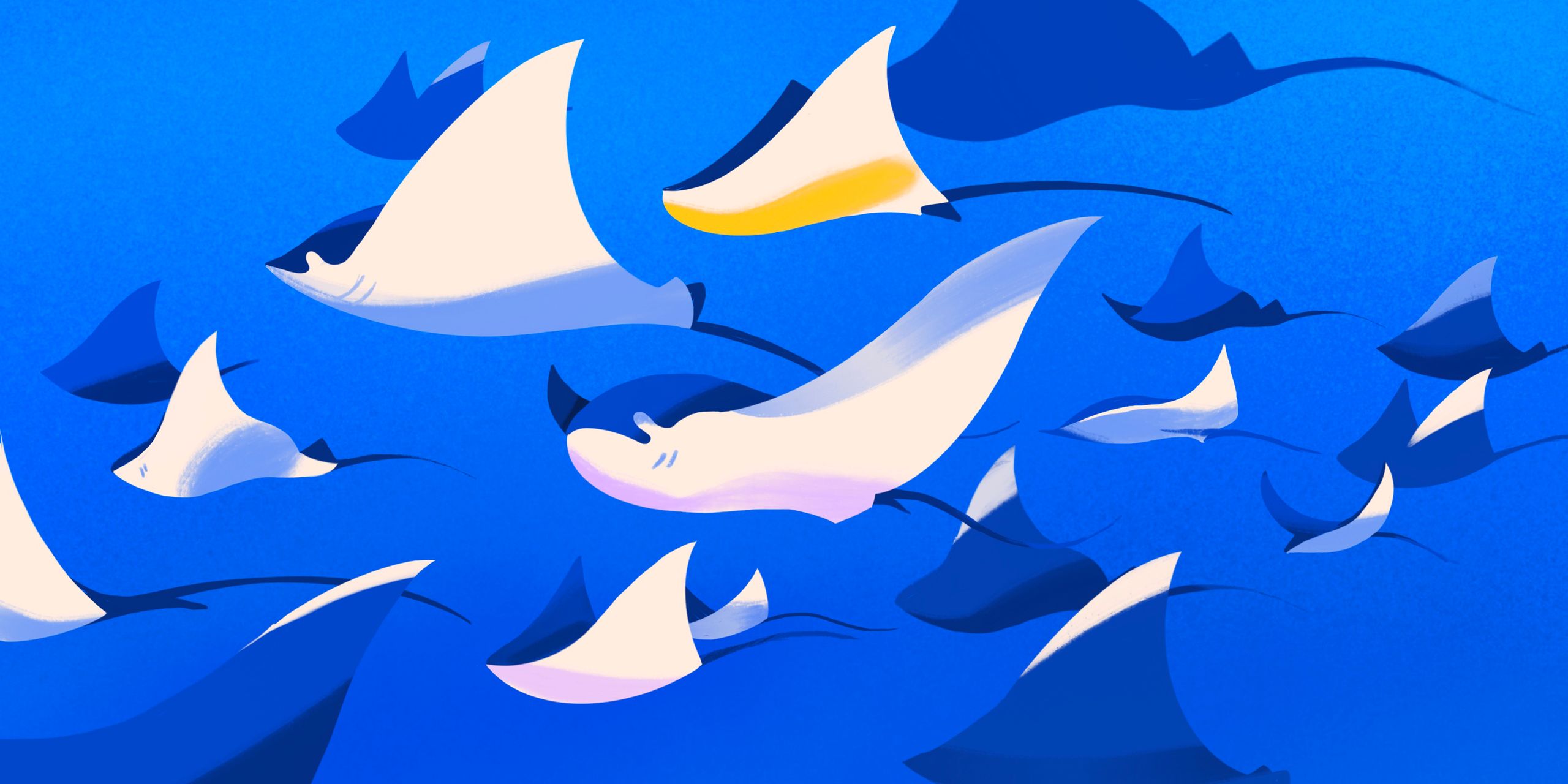 Illustration showcasing this artists portfolio