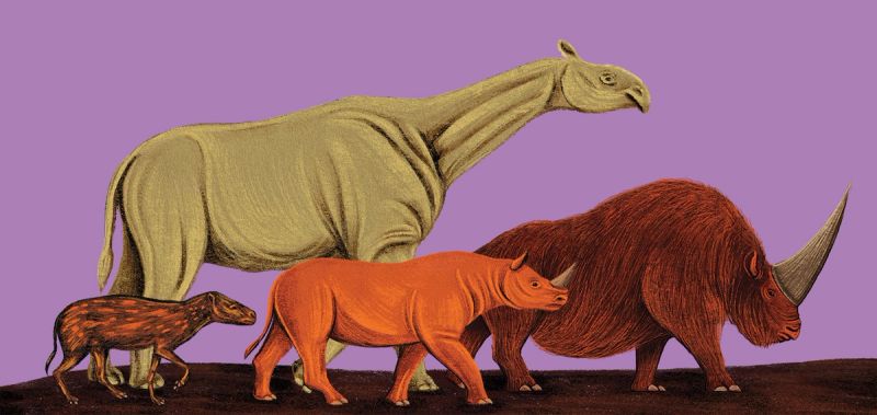 Illustration showcasing this artists portfolio