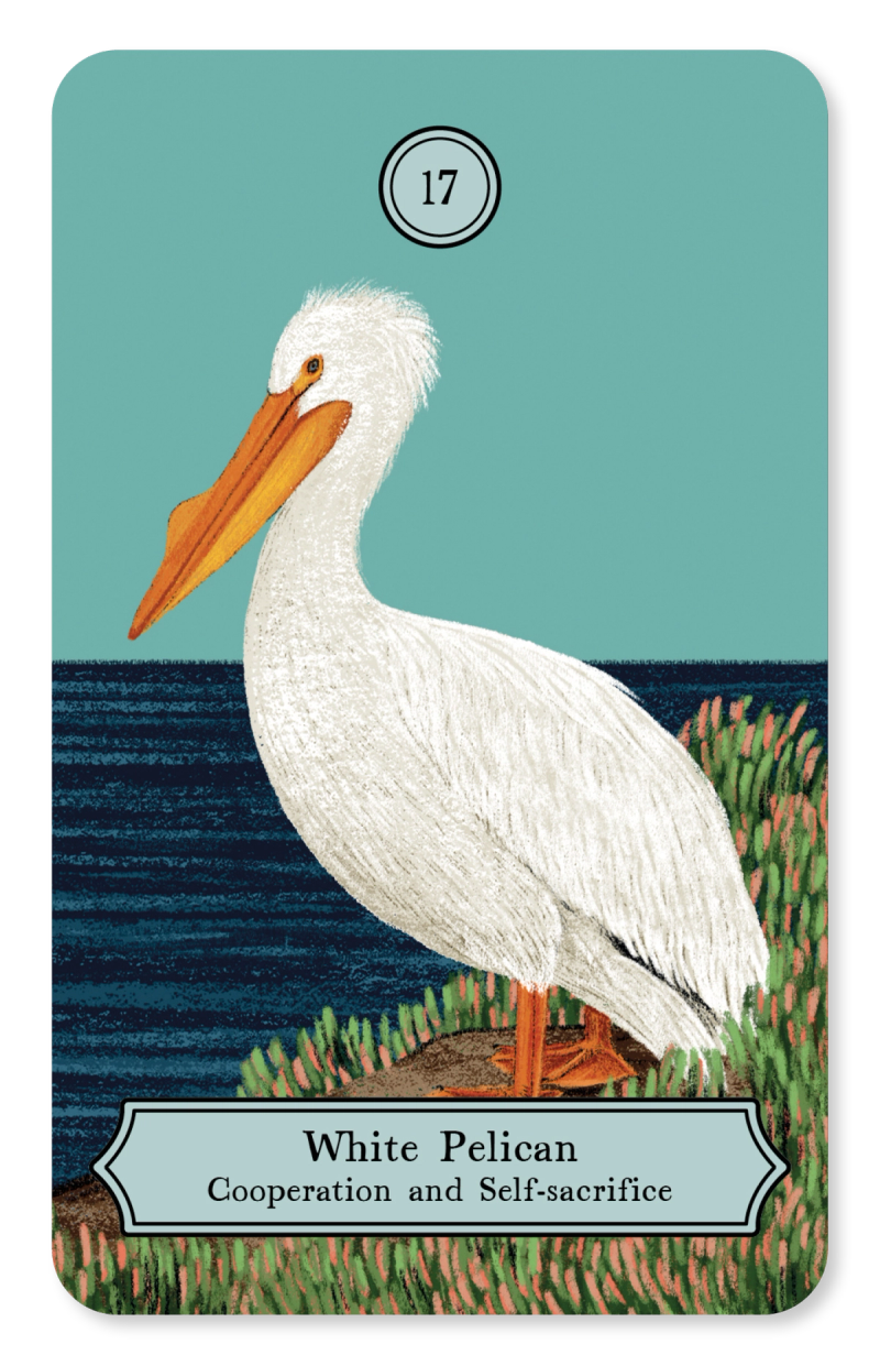 Illustration showcasing this artists portfolio