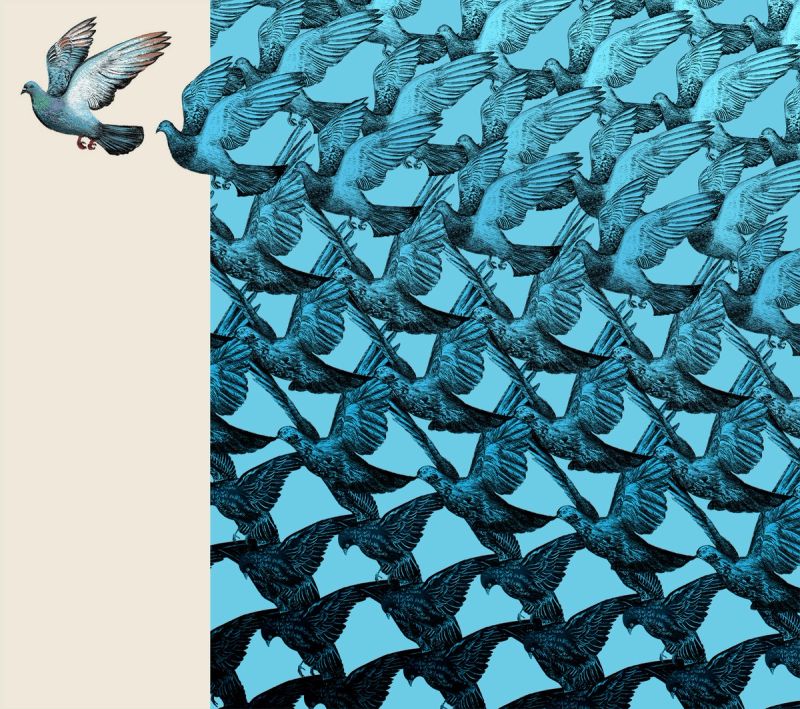 Illustration showcasing this artists portfolio