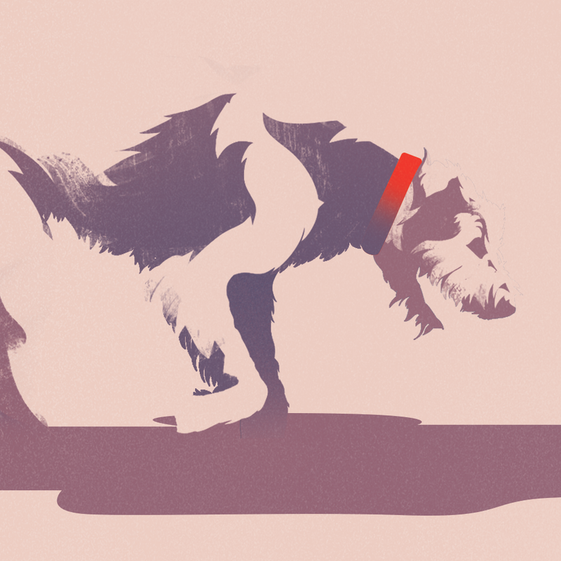 Illustration showcasing this artists portfolio