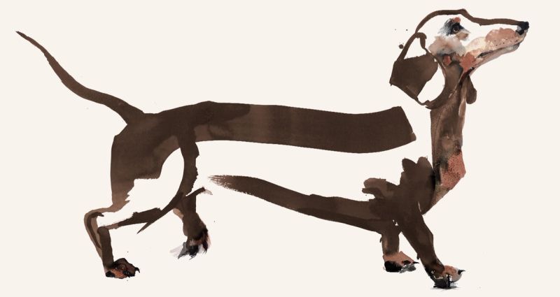 Illustration showcasing this artists portfolio