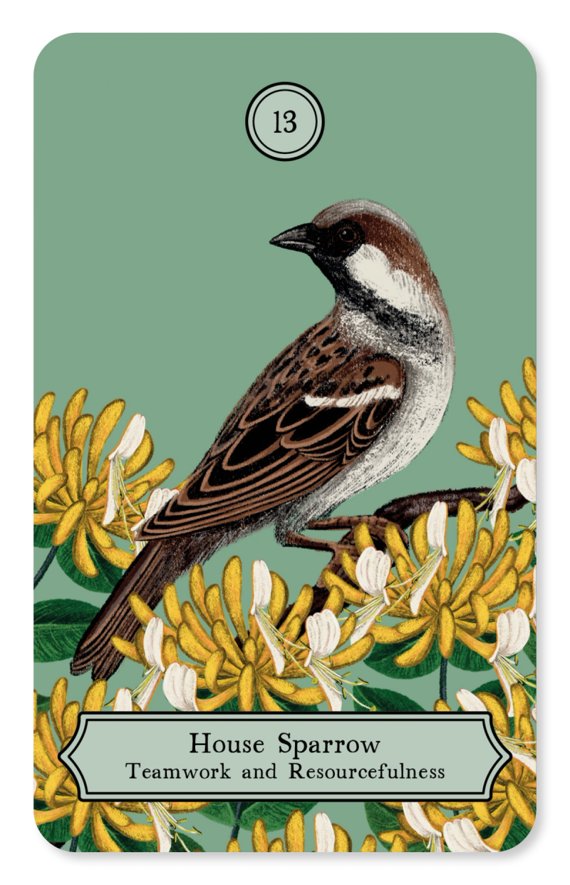 Illustration showcasing this artists portfolio
