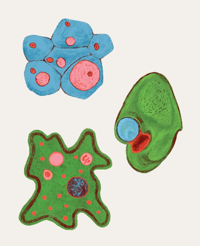 Illustration showcasing this artists portfolio