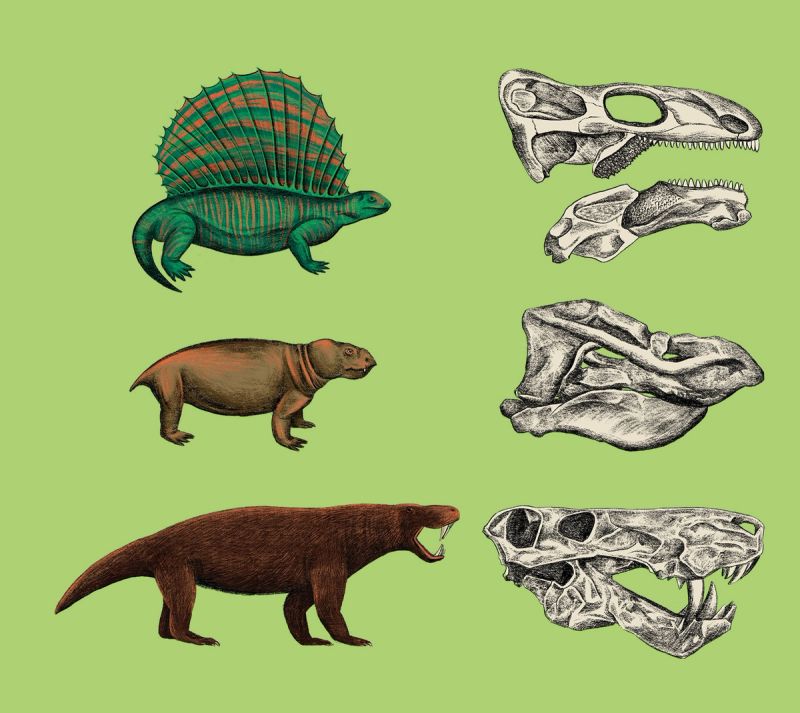 Illustration showcasing this artists portfolio