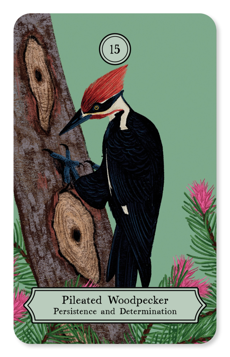 Illustration showcasing this artists portfolio
