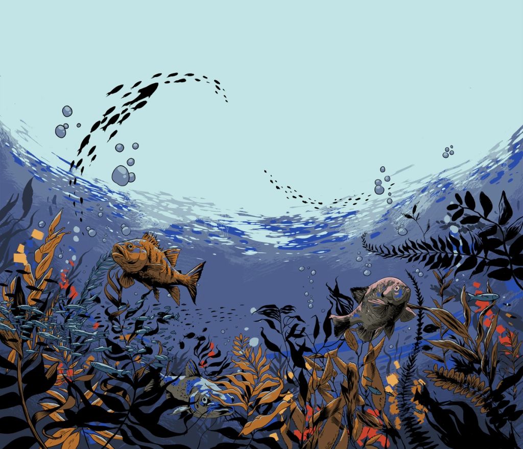 Illustration showcasing this artists portfolio