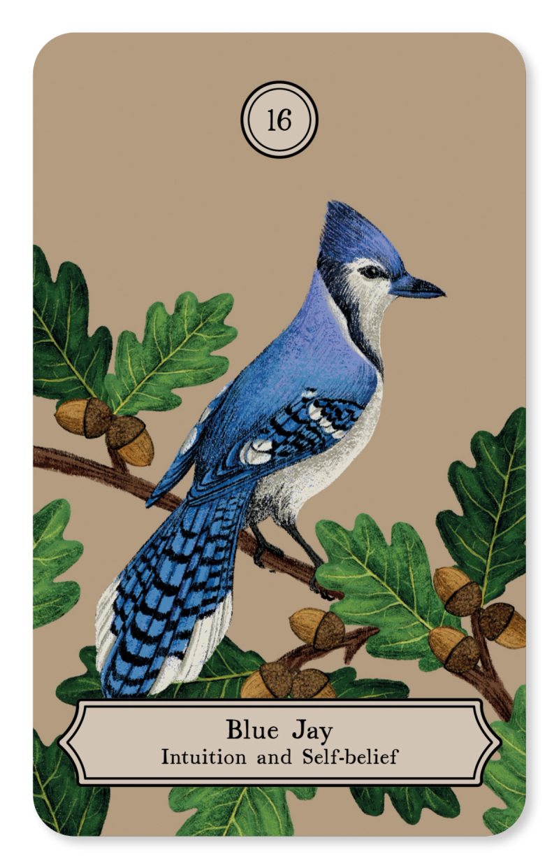 Illustration showcasing this artists portfolio
