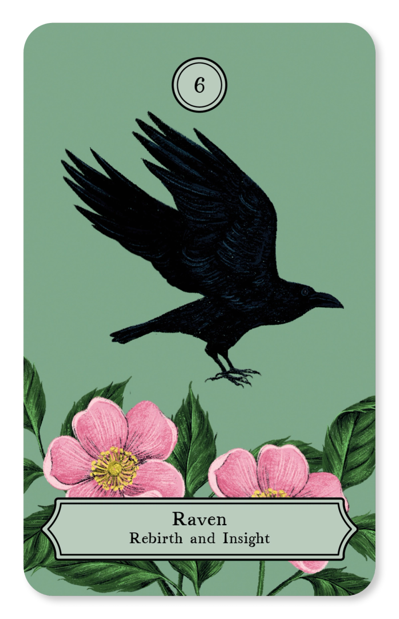 Illustration showcasing this artists portfolio