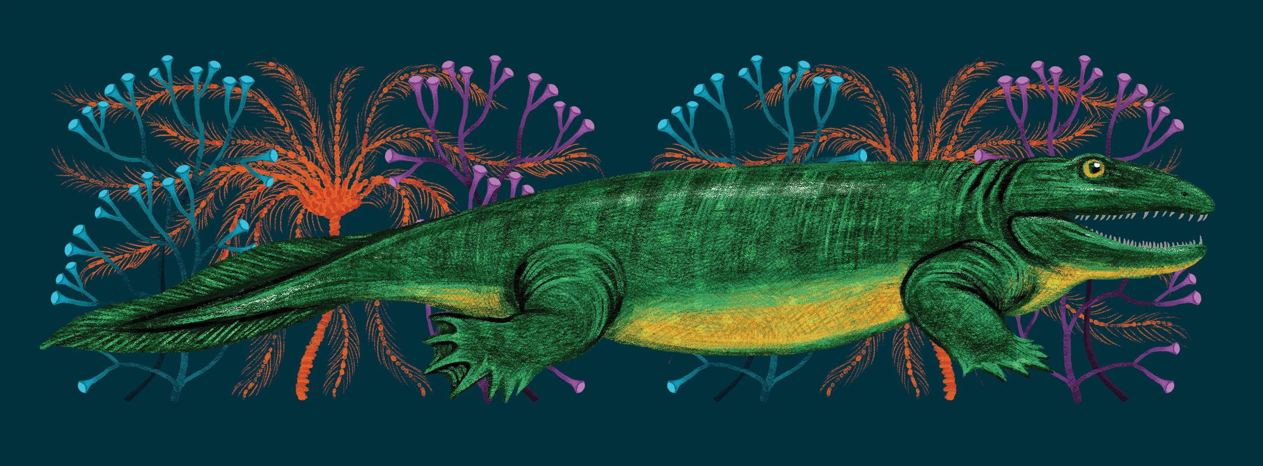 Illustration showcasing this artists portfolio