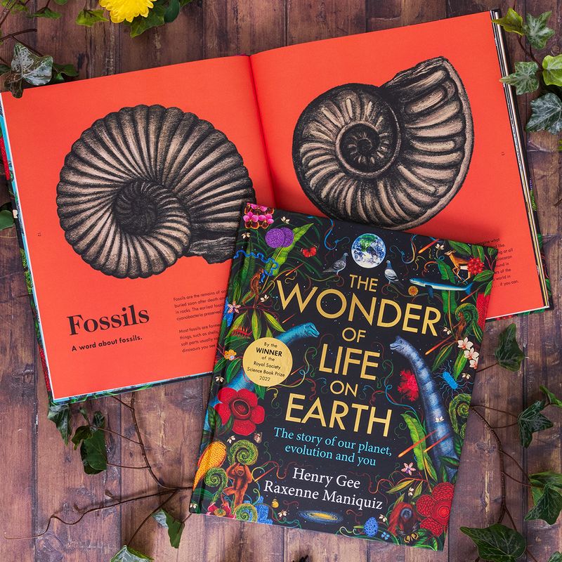 Illustration showcasing this artists portfolio