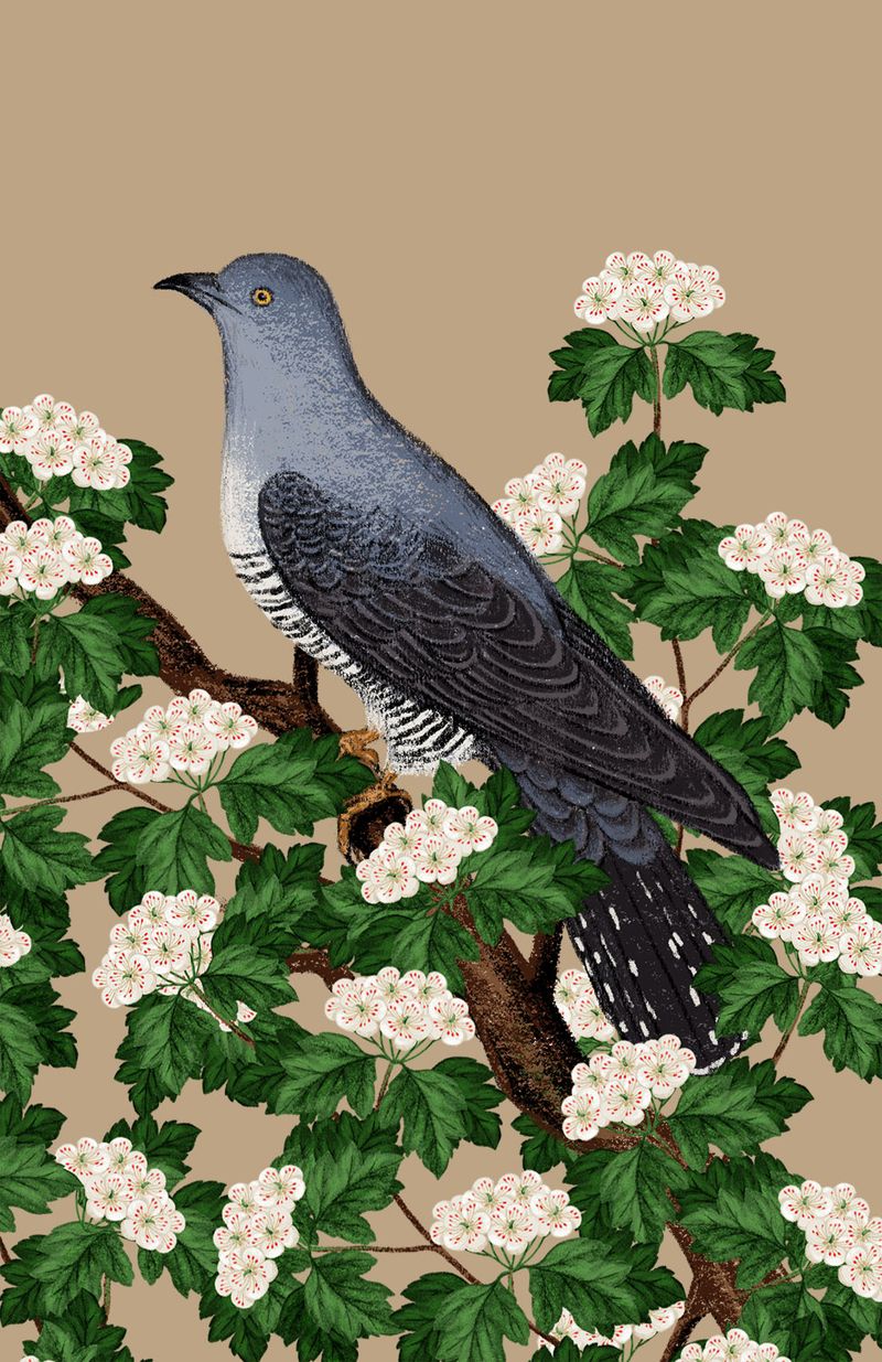 Illustration showcasing this artists portfolio