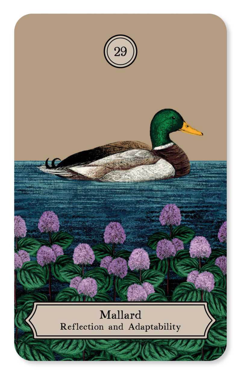 Illustration showcasing this artists portfolio