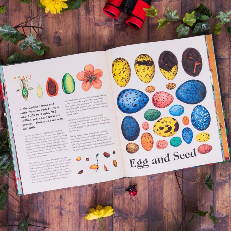 Illustration showcasing this artists portfolio