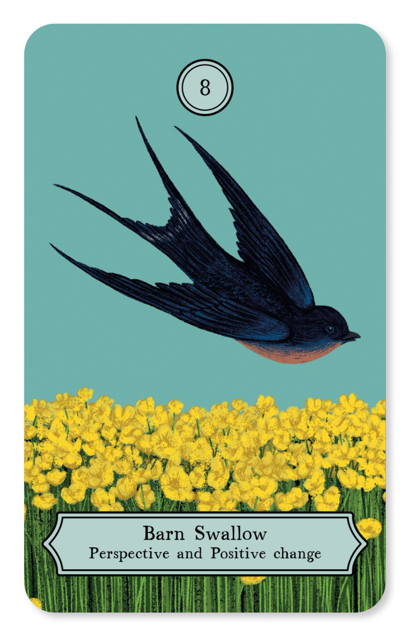 Illustration showcasing this artists portfolio