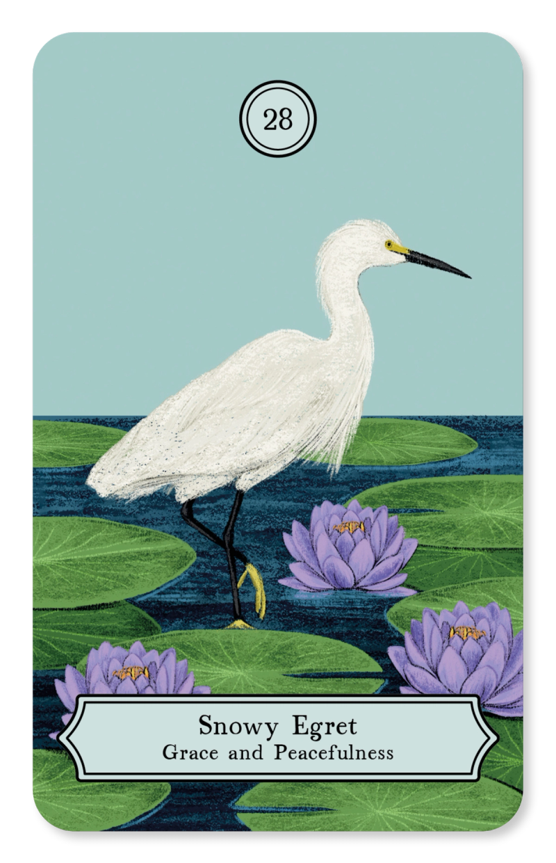Illustration showcasing this artists portfolio