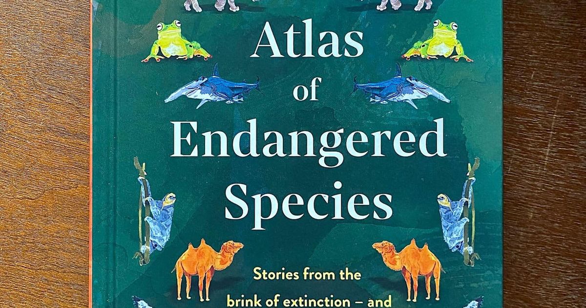Emily Robertson - Atlas of Endangered Species • Handsome Frank • Home ...