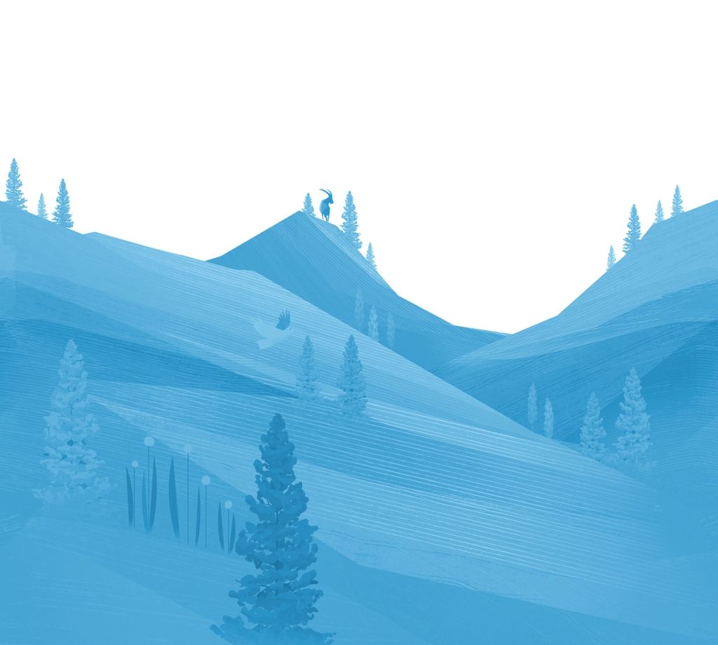 Illustration showcasing this artists portfolio