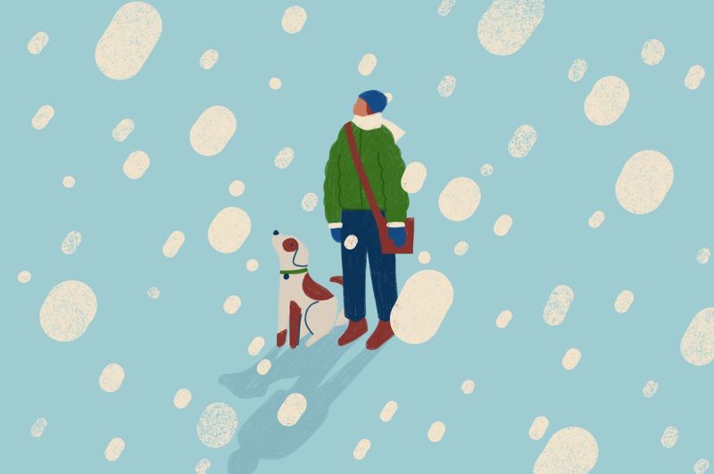 Illustration showcasing this artists portfolio