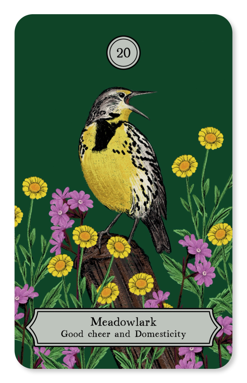Illustration showcasing this artists portfolio