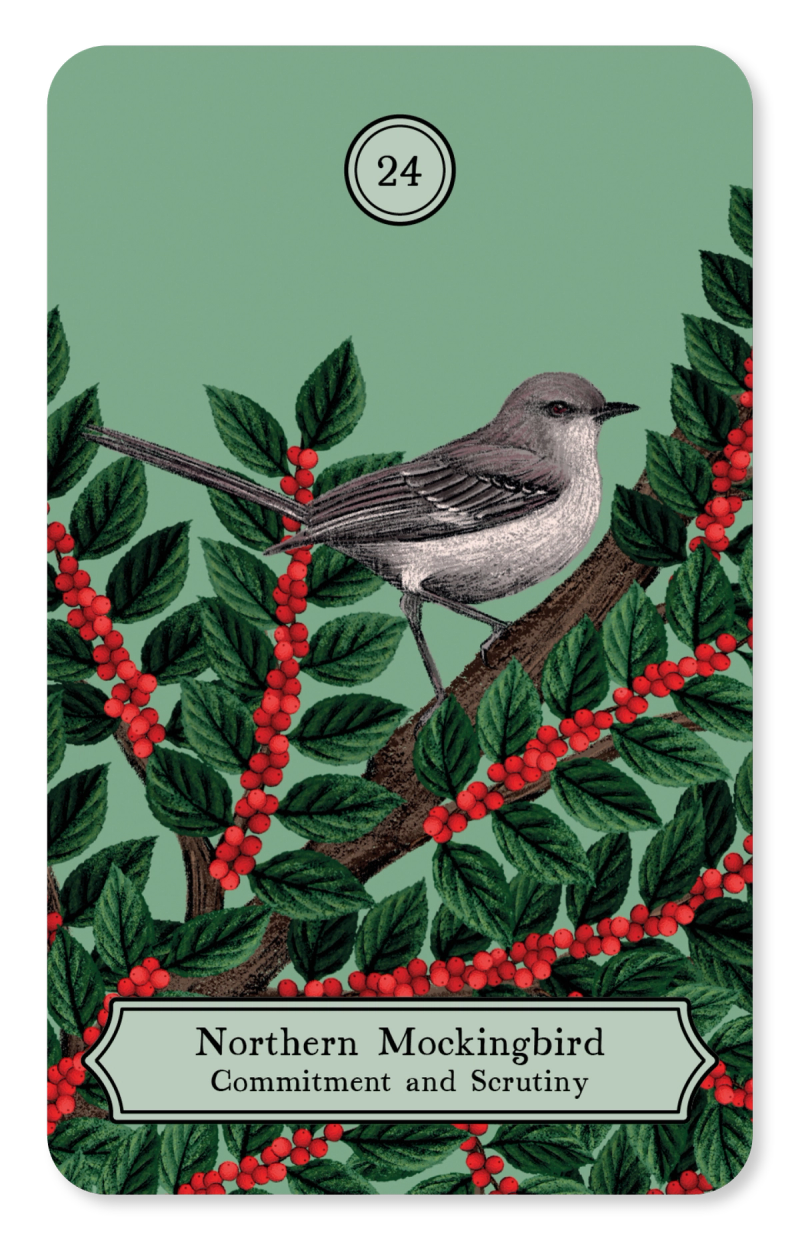 Illustration showcasing this artists portfolio