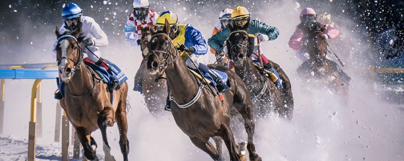Bet on your favourite sports